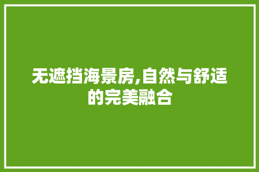 无遮挡海景房,自然与舒适的完美融合