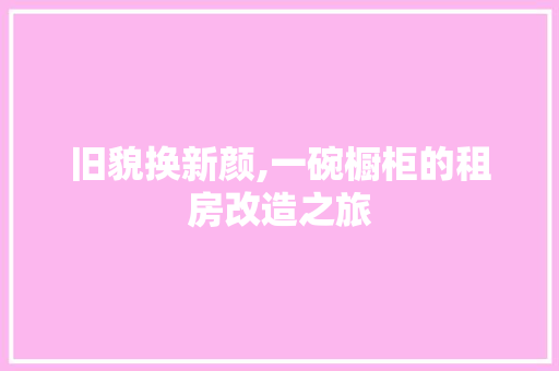 旧貌换新颜,一碗橱柜的租房改造之旅