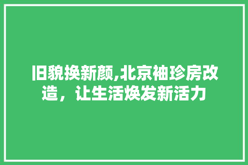 旧貌换新颜,北京袖珍房改造，让生活焕发新活力