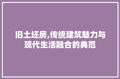 旧土坯房,传统建筑魅力与现代生活融合的典范