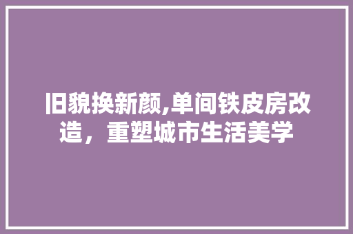 旧貌换新颜,单间铁皮房改造，重塑城市生活美学