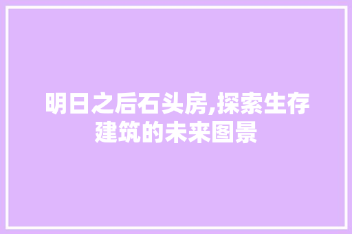 明日之后石头房,探索生存建筑的未来图景