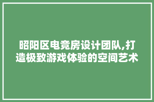 昭阳区电竞房设计团队,打造极致游戏体验的空间艺术