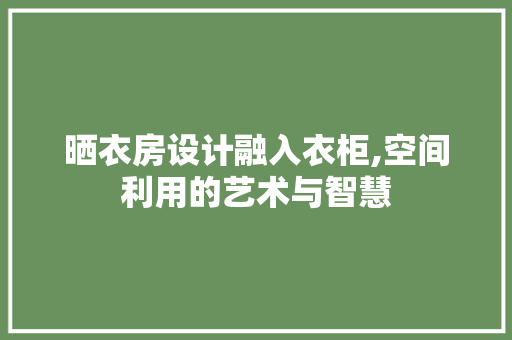 晒衣房设计融入衣柜,空间利用的艺术与智慧