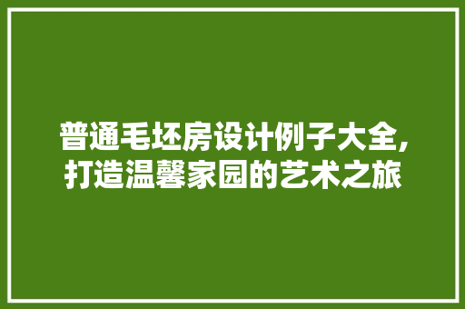 普通毛坯房设计例子大全,打造温馨家园的艺术之旅