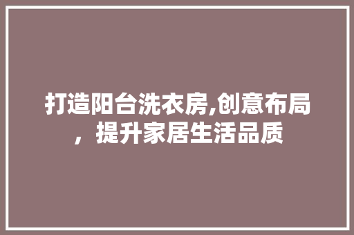 打造阳台洗衣房,创意布局，提升家居生活品质