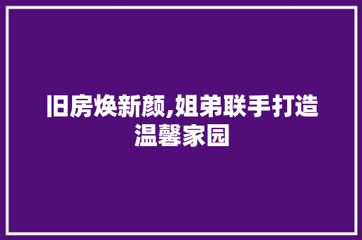 旧房焕新颜,姐弟联手打造温馨家园