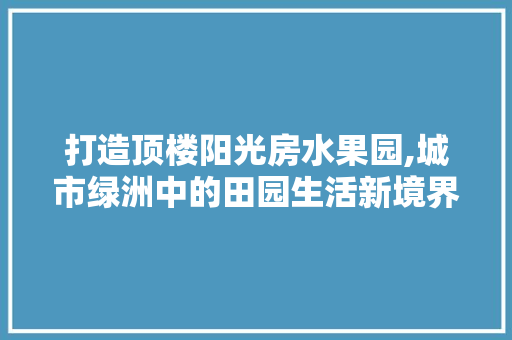 打造顶楼阳光房水果园,城市绿洲中的田园生活新境界