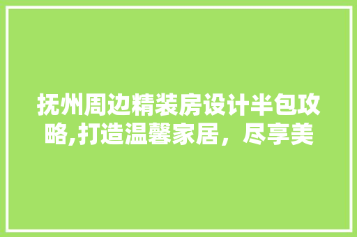抚州周边精装房设计半包攻略,打造温馨家居，尽享美好生活