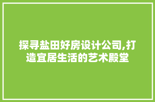 探寻盐田好房设计公司,打造宜居生活的艺术殿堂
