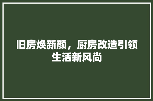 旧房焕新颜，厨房改造引领生活新风尚