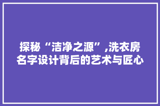 探秘“洁净之源”,洗衣房名字设计背后的艺术与匠心