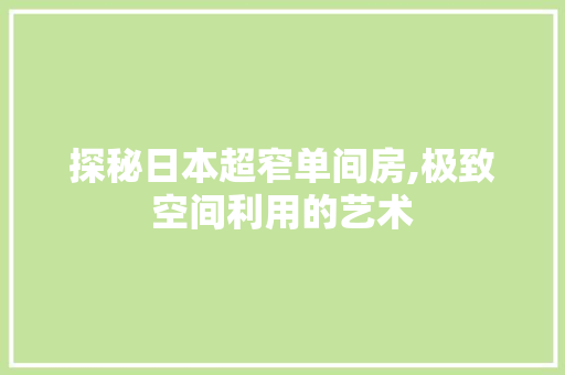 探秘日本超窄单间房,极致空间利用的艺术