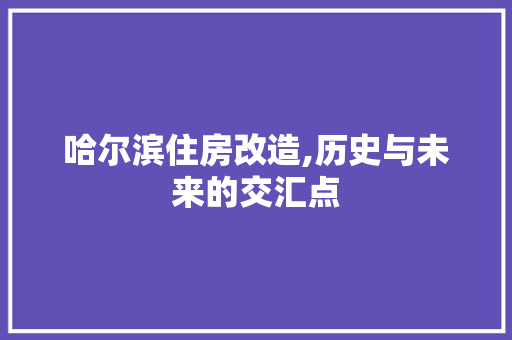 哈尔滨住房改造,历史与未来的交汇点