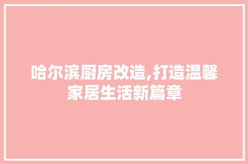 哈尔滨厨房改造,打造温馨家居生活新篇章