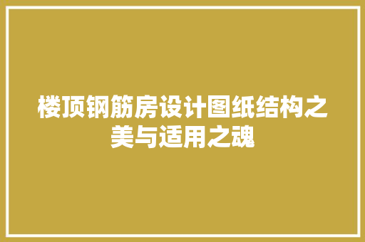 楼顶钢筋房设计图纸结构之美与适用之魂
