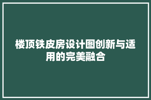 楼顶铁皮房设计图创新与适用的完美融合