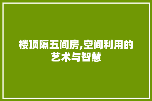 楼顶隔五间房,空间利用的艺术与智慧