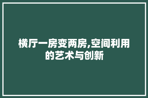 横厅一房变两房,空间利用的艺术与创新