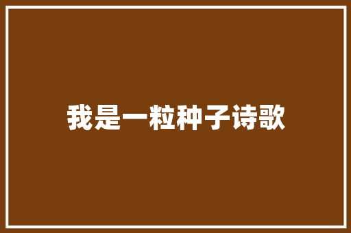 春节厨房大变身,打造温馨舒适的烹饪空间