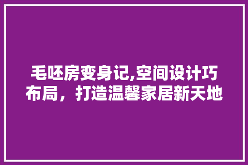 毛呸房变身记,空间设计巧布局，打造温馨家居新天地