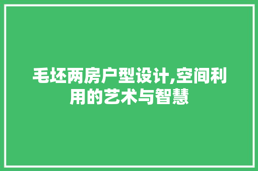 毛坯两房户型设计,空间利用的艺术与智慧