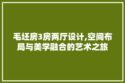毛坯房3房两厅设计,空间布局与美学融合的艺术之旅