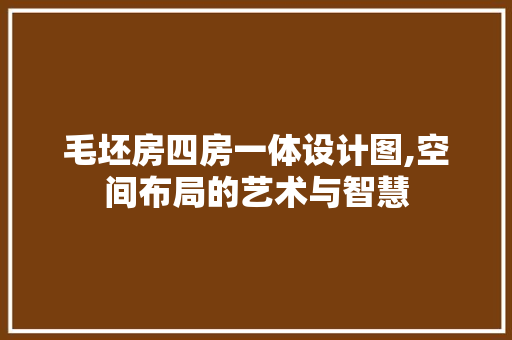 毛坯房四房一体设计图,空间布局的艺术与智慧