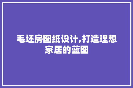 毛坯房图纸设计,打造理想家居的蓝图