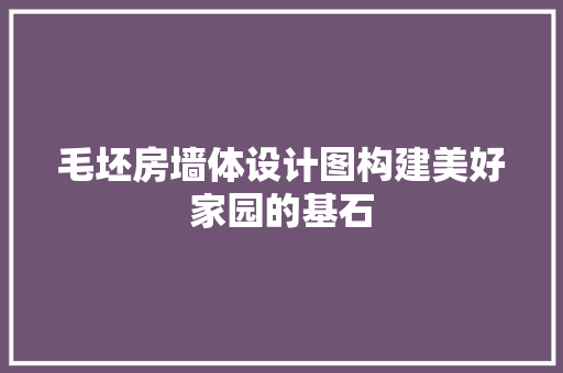 毛坯房墙体设计图构建美好家园的基石