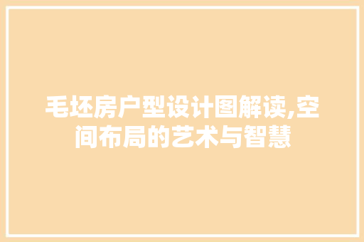 毛坯房户型设计图解读,空间布局的艺术与智慧