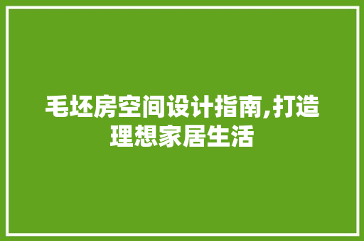 毛坯房空间设计指南,打造理想家居生活