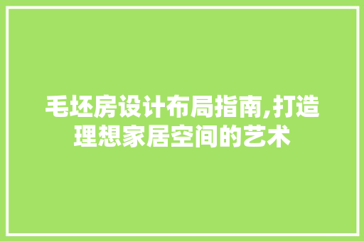 毛坯房设计布局指南,打造理想家居空间的艺术