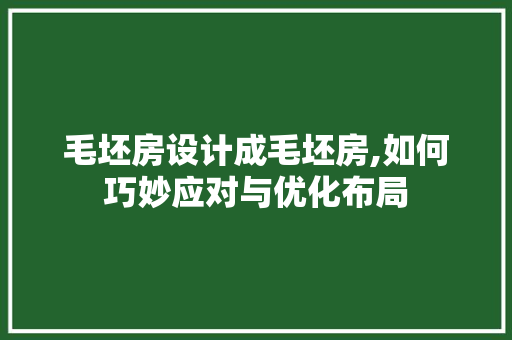 毛坯房设计成毛坯房,如何巧妙应对与优化布局