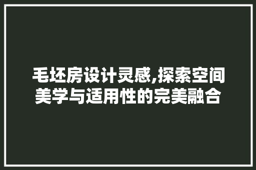毛坯房设计灵感,探索空间美学与适用性的完美融合