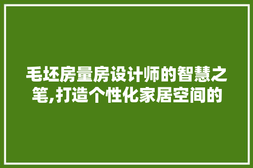 毛坯房量房设计师的智慧之笔,打造个性化家居空间的艺术探索