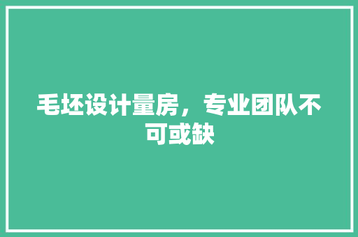 毛坯设计量房，专业团队不可或缺