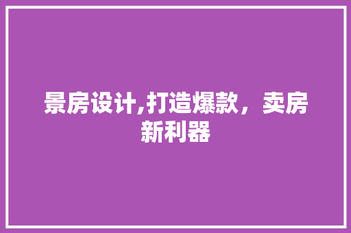 景房设计,打造爆款，卖房新利器