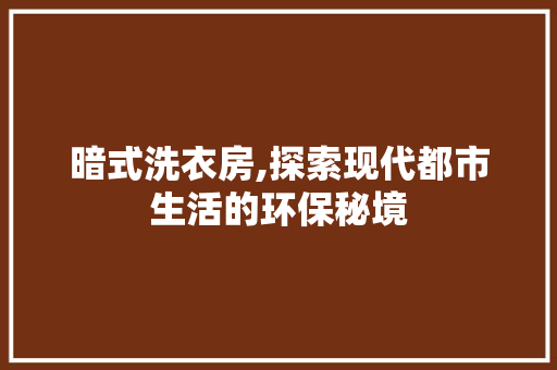 暗式洗衣房,探索现代都市生活的环保秘境