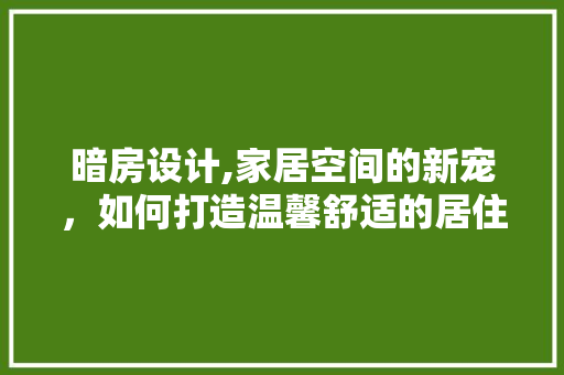 暗房设计,家居空间的新宠，如何打造温馨舒适的居住环境