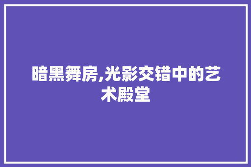 暗黑舞房,光影交错中的艺术殿堂