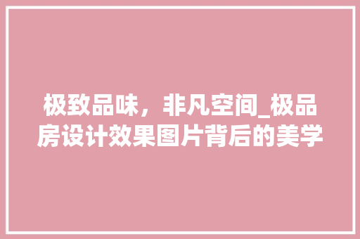 极致品味，非凡空间_极品房设计效果图片背后的美学与功能