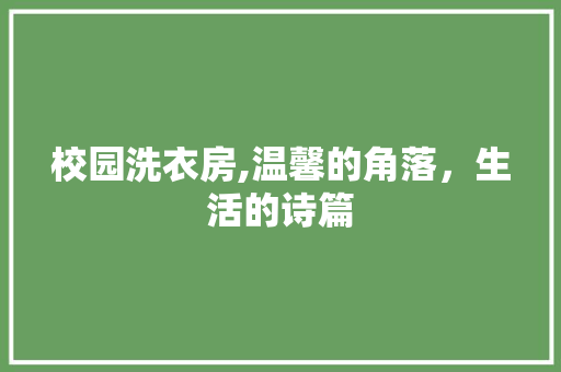 校园洗衣房,温馨的角落，生活的诗篇