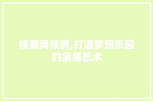格调男孩房,打造梦想乐园的家居艺术