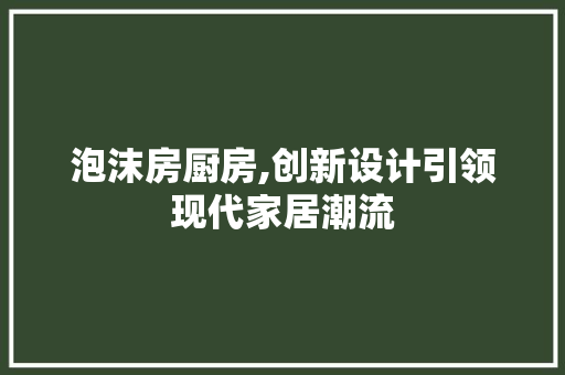 泡沫房厨房,创新设计引领现代家居潮流
