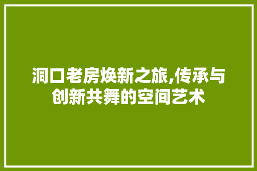 洞口老房焕新之旅,传承与创新共舞的空间艺术