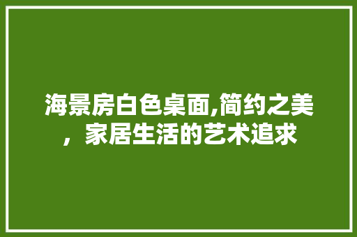 海景房白色桌面,简约之美，家居生活的艺术追求