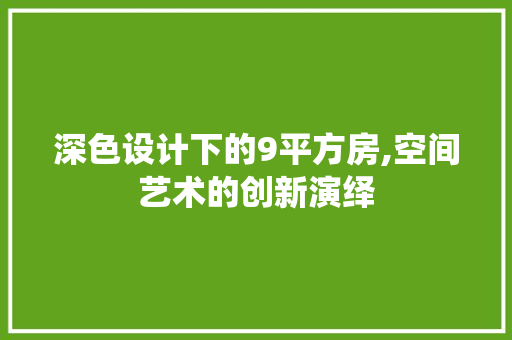 深色设计下的9平方房,空间艺术的创新演绎