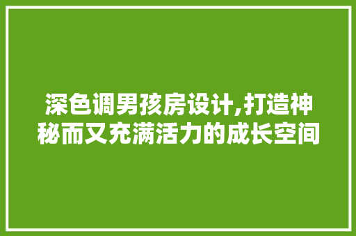深色调男孩房设计,打造神秘而又充满活力的成长空间