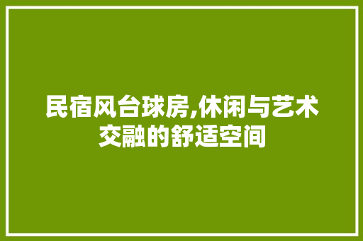 民宿风台球房,休闲与艺术交融的舒适空间